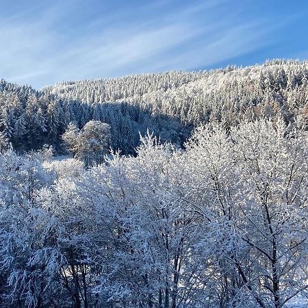 Ferienwohnung Stremme Willingen  Exteriér fotografie