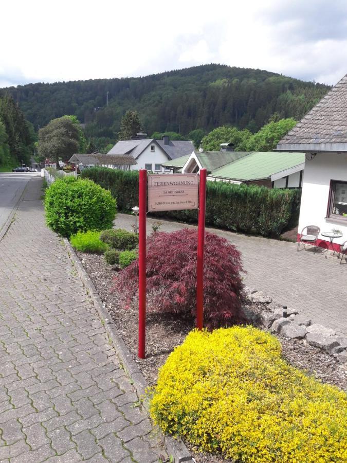 Ferienwohnung Stremme Willingen  Exteriér fotografie