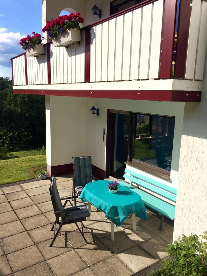 Ferienwohnung Stremme Willingen  Exteriér fotografie