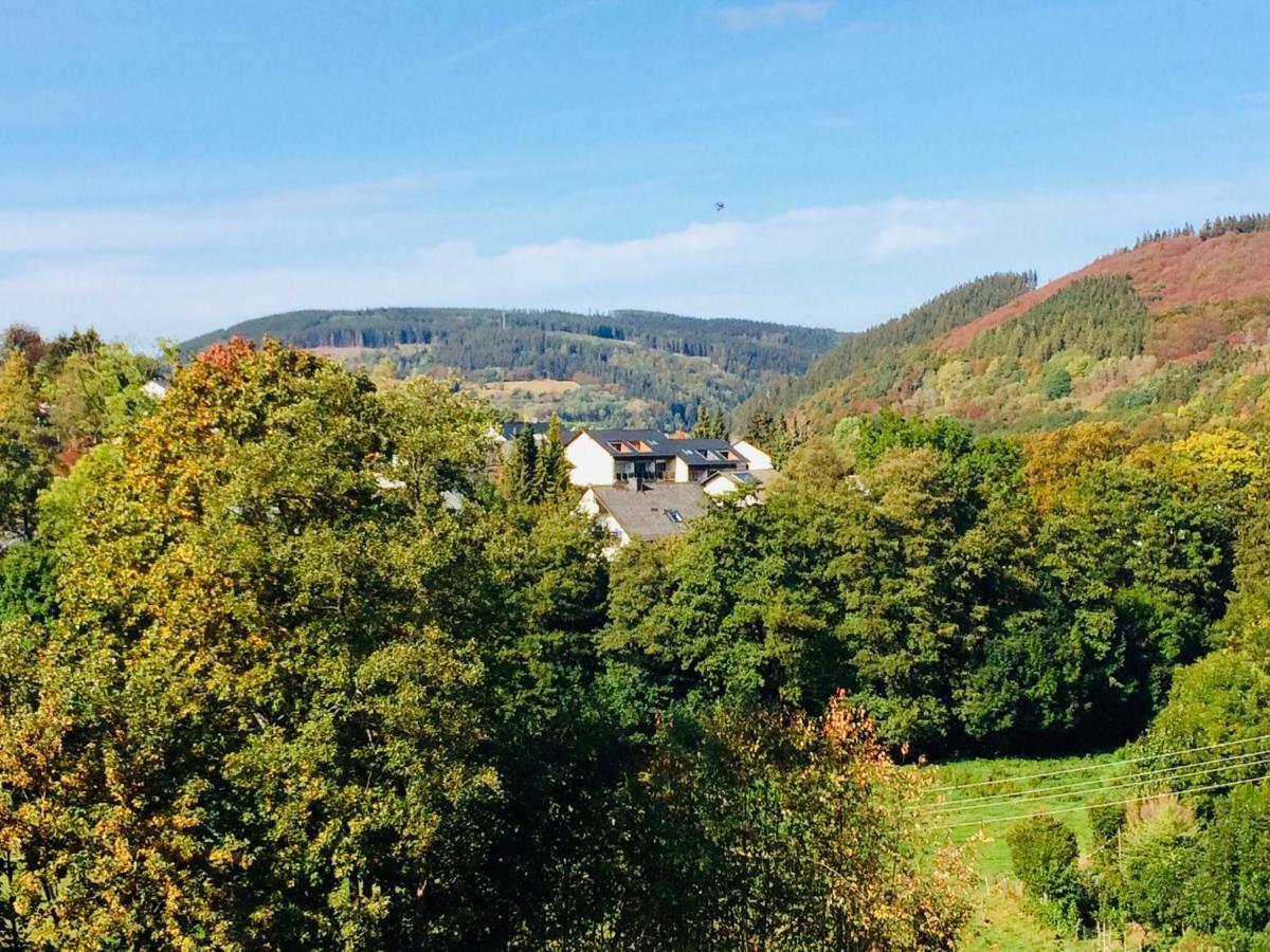 Ferienwohnung Stremme Willingen  Exteriér fotografie