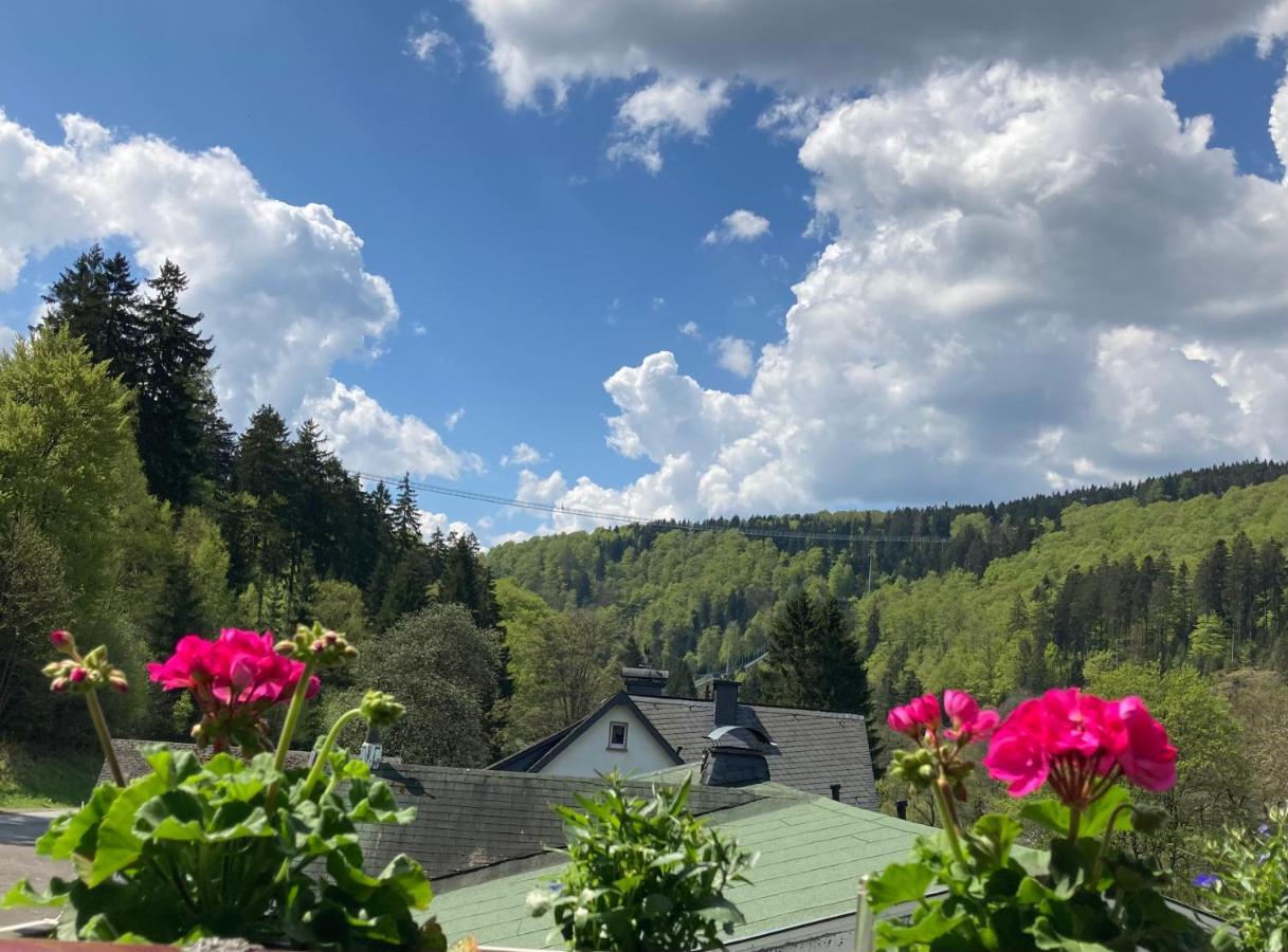 Ferienwohnung Stremme Willingen  Exteriér fotografie